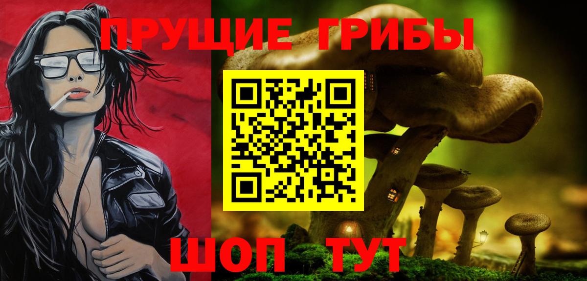 Галлюциногенные грибы GOLDEN TEACHER  Вход с VPN  Железногорск  Галлюциногенные грибы GOLDEN TEACHER 